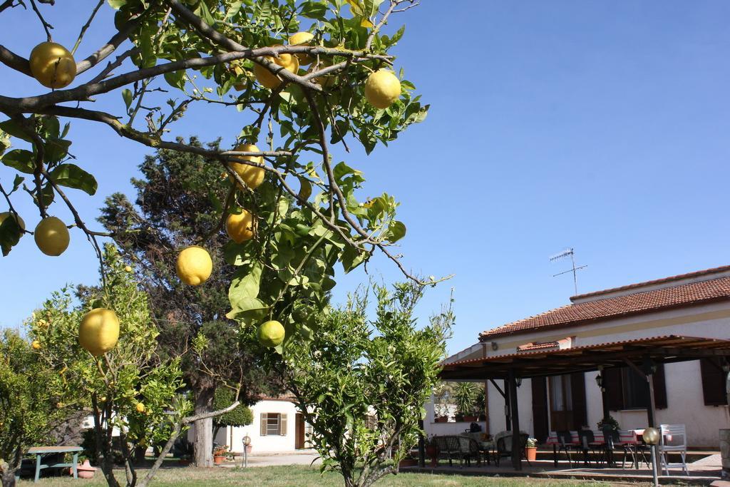 Rita B&B Sea Sun And Nature Santa Maria la Palma Chambre photo